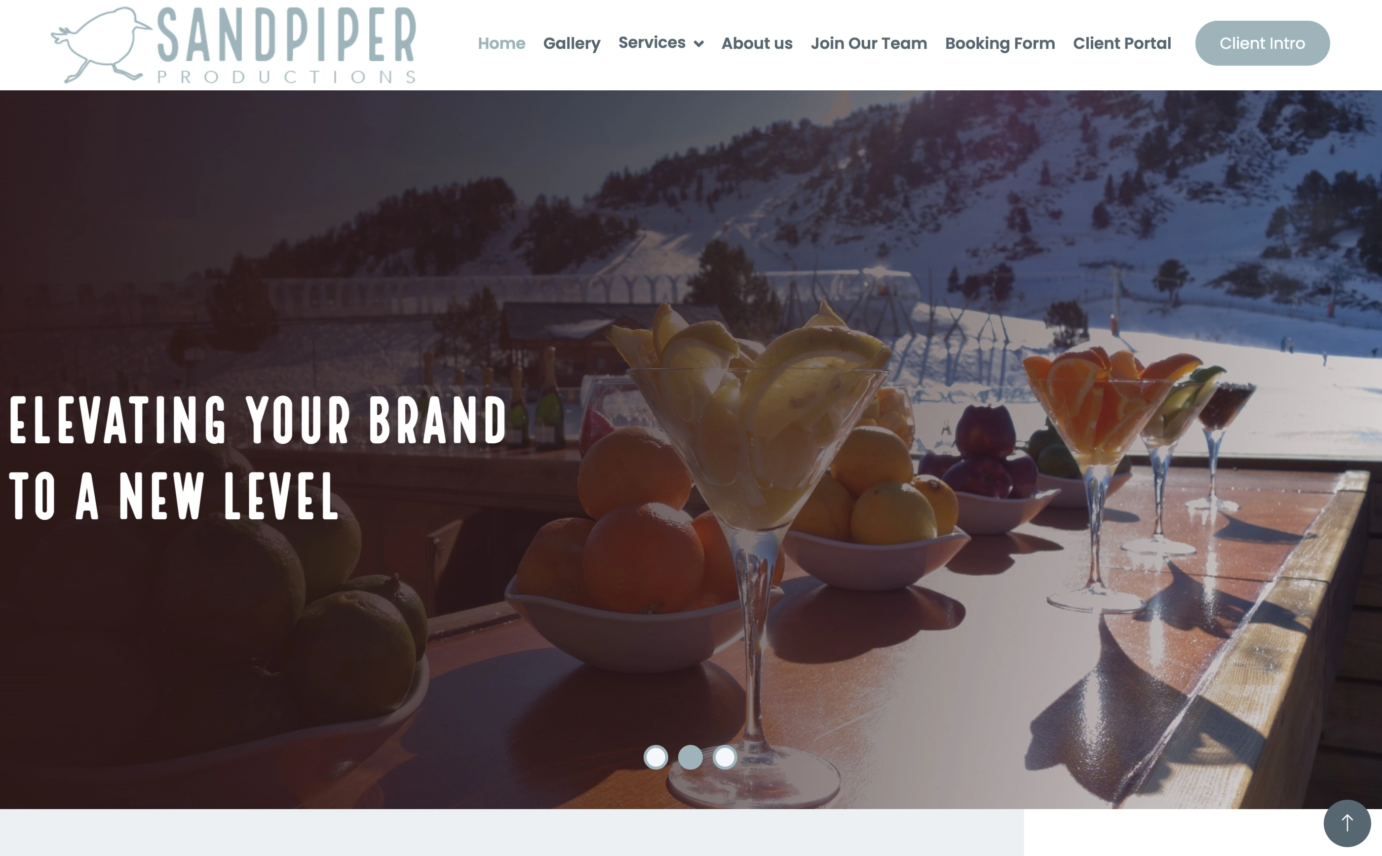 Sandpiper Dashboard — landing page screenshot